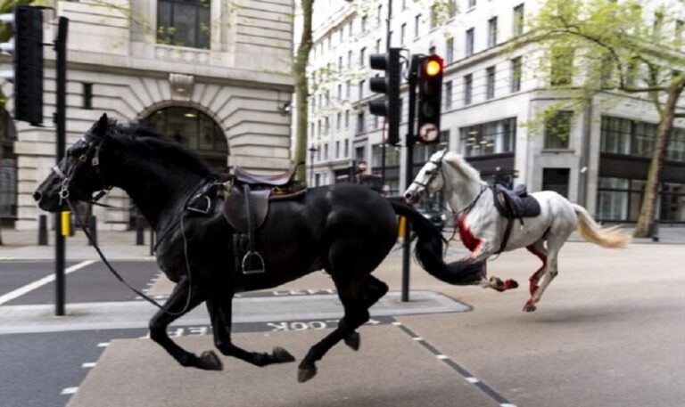 caballos en Londres-min