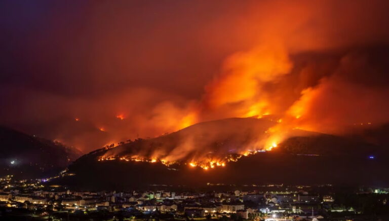 incendio en sierra de acapulco.jpg-min