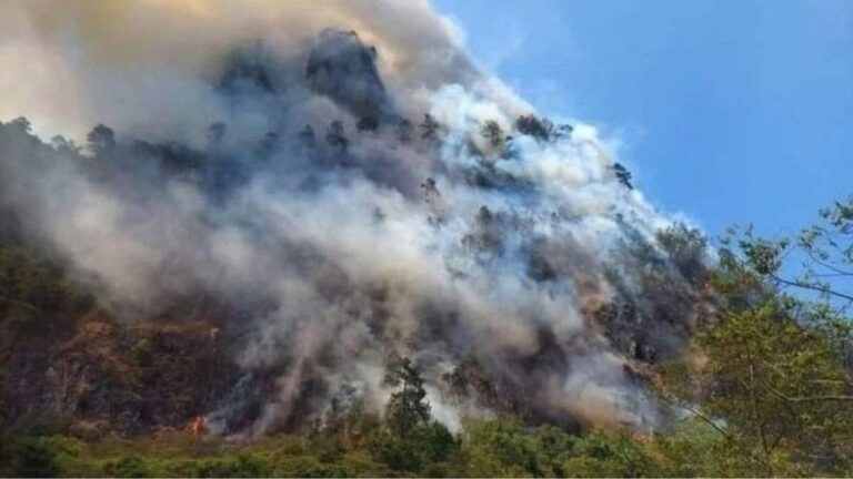 incendio en oaxaca-min