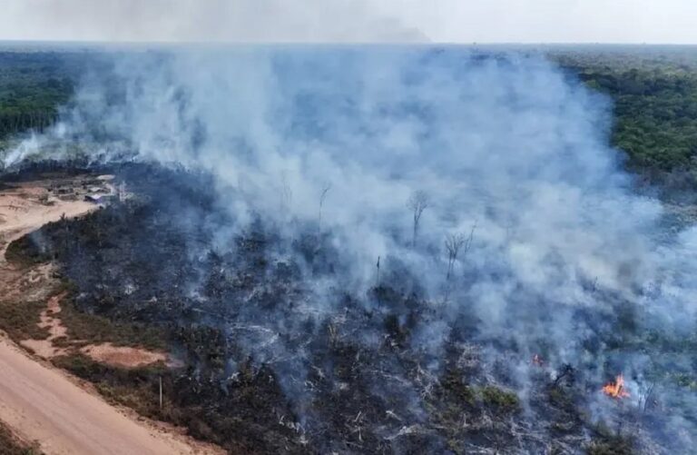 incendios forestales en Brasil-min