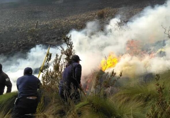 se declara emergencia en Ecuador por incendios forestales-min