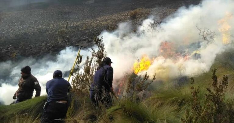 se declara emergencia en Ecuador por incendios forestales-min